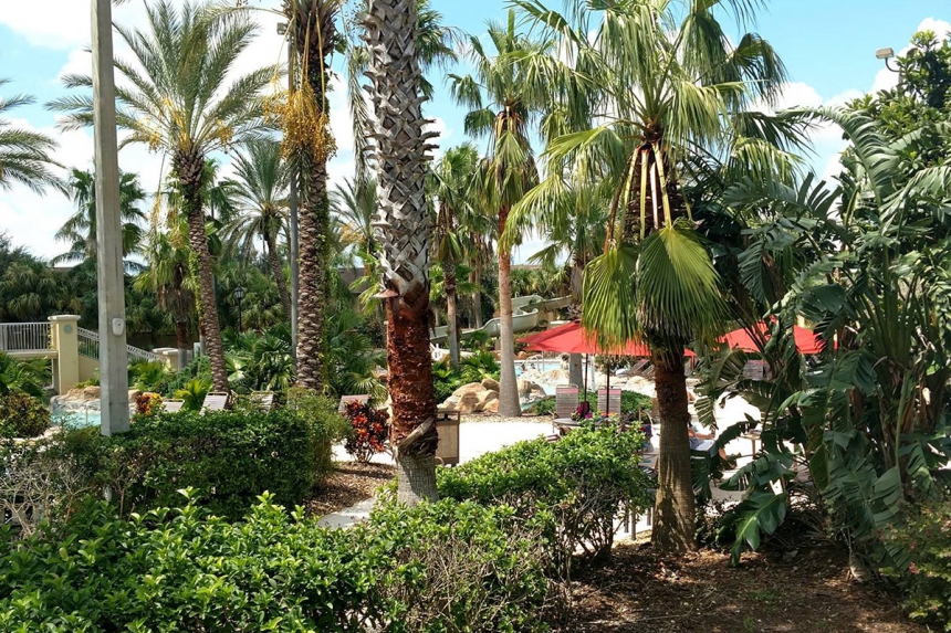 /hotelphotos/thumb-860x573-483698-Regal Palm Water Park.jpg